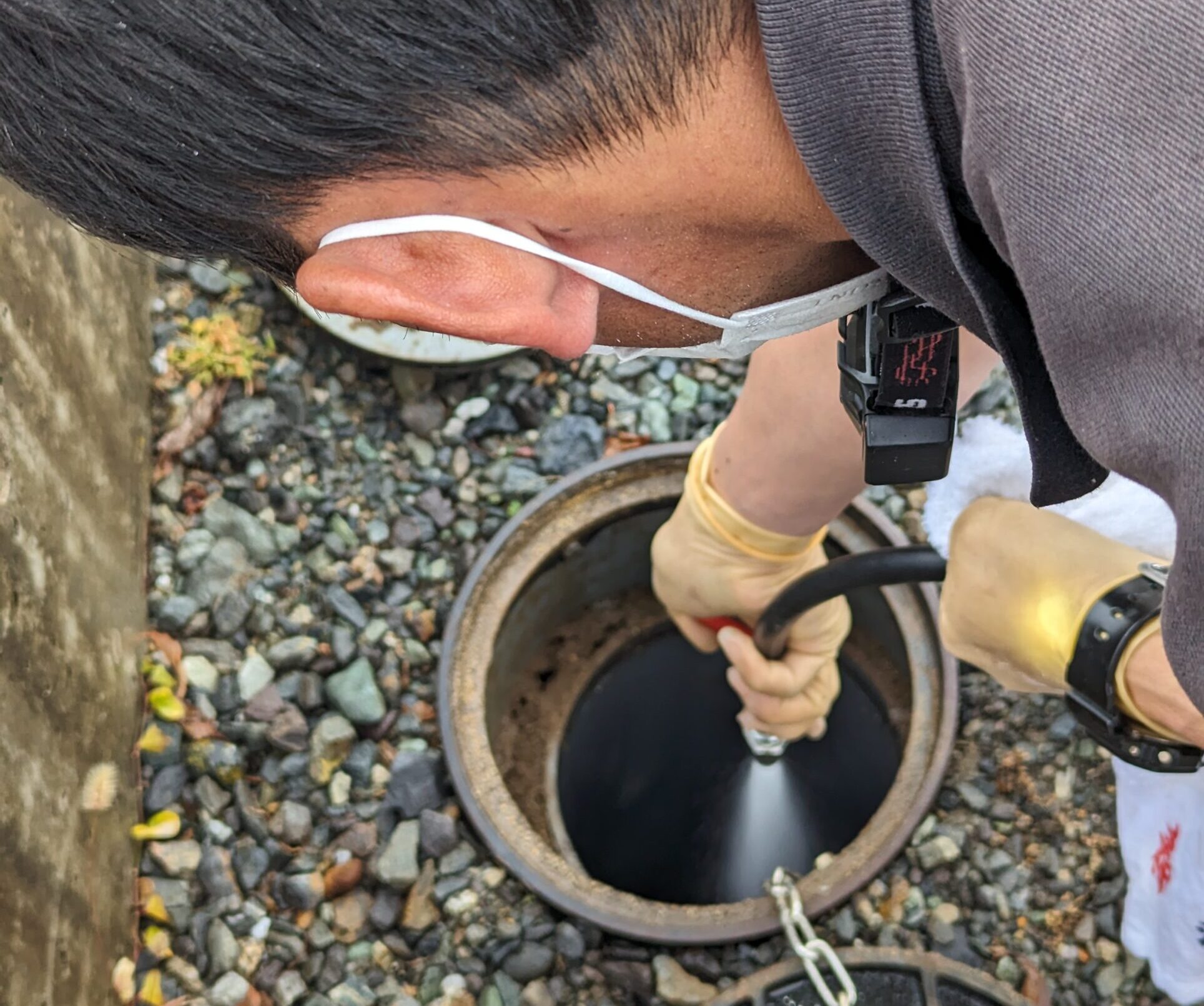 排水管の清掃の様子
